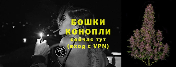 прущий лед Пересвет
