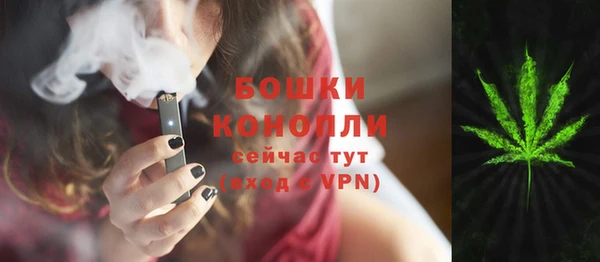 прущий лед Пересвет