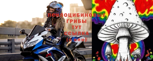 прущий лед Пересвет
