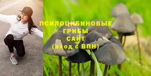 прущий лед Пересвет